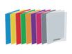Conquérant Classique - Cahier polypro 24 x 32 cm - 96 pages - grands carreaux (Seyes) - disponible dans différentes couleurs