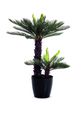 Plante artificielle cycas - hauteur 80 cm