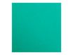 Clairefontaine Maya - Papier à dessin - 50 x 70 cm - 270 g/m² - vert foncé