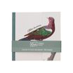 Kiub - Carnet oiseau vert 10,8x12 - Collection encyclopedia par dyb