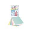 3295190001518-RAINEX - papier uni - 100 feuille(s) - A4 - 160 g/m²-P_1510_1-0