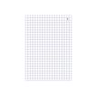 3416790021335-ELVE - Manifold quadrillé 5x5 - 50 dupli - 21 x 14 cm-P_2133_2-1