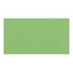 3148950401717-Canson Iris Vivaldi - Papier - A4 - vert pomme - 185 g/m²-P_4254_2-2