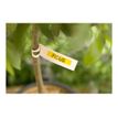4977766686655-Brother TZe-621 - tipo laminado - 1 cinta(s) - rollo (0,9 cm x 8 m)-P_9621_11-6