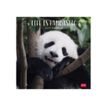 Legami - Calendrier mensuel 2024 - 30 x 29 cm - life is pandastic