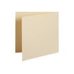 Pollen - 25 Cartes pliées - 135 x 135 mm - 210 g/m² - ivoire