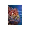 3086123499102-BIC KiDS Evolution Stripes - 12 Crayons de couleur - couleurs assorties-P_14885_4-4