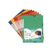 3130632553005-Exacompta Nature Future - 10 Chemises à 3 rabats - A4 - pour 250 feuilles - couleurs assortie-P_55300_7-6