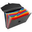 Viquel Rainbow Class - Classeur ménager (valisette trieur) 12 onglets