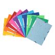 Exacompta Nature Future - 10 Chemises à 3 rabats - A4 - pour 250 feuilles - couleurs vives assorties