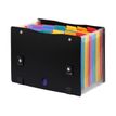 Viquel Rainbow Class EXTEND'CASE - Uitbreidende map - 13 compartimenten - 12 onderdelen - 30 mm - 330 x 240 mm - met tabbladen - zwart