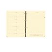 3371010119103-Recharge pour organiseur Timer 29 Notes - 1 semaine sur 2 pages - 21 x 29,7 cm - papier ivoire - Quo Va--0