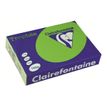 Clairefontaine Trophée - Intens groen - A4 (210 x 297 mm) - 160 g/m² - 250 vel(len) getint papier