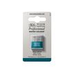 0884955069561-Winsor & Newton Professional Water Colour - peinture - aquarelle - vert turquoise - demi-p-P_300030090_1-0
