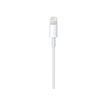 888462496988-Apple - Câble USB-C Lightning - Lightning mâle pour USB-C mâle - 2 m-P_300049252_1-2