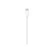 888462496988-Apple - Câble USB-C Lightning - Lightning mâle pour USB-C mâle - 2 m-P_300049252_3-1