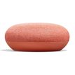 0842776102157-Google Home mini - coral-P_300053493_2-1