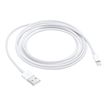 0885909627448-Apple - Câble Lightning - Lightning mâle pour USB mâle - 2 m-P_300053883_2-1