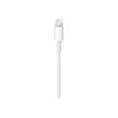 0885909627448-Apple - Câble Lightning - Lightning mâle pour USB mâle - 2 m-P_300053883_3-2