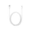 0885909627448-Apple - Câble Lightning - Lightning mâle pour USB mâle - 2 m-P_300053883_4-3