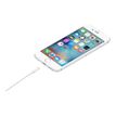0885909627448-Apple - Câble Lightning - Lightning mâle pour USB mâle - 2 m-P_300053883_5-4