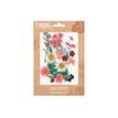 3532432002729-Graine Creative - Ensemble de fleurs pressées - 16 pièces - prairie rose-P_300054586_1-0