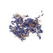 3532432002170-Graine Creative Blueberry - Dried flowers - 10 g-P_300054590_1-0