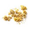 3532432002149-Graine Creative Immortelle - Dried flowers - 15 g-P_300054593_1-0