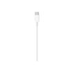 190198914507-Apple - Câble USB-C vers USB-C (M) - 1 m-P_300054830_1-0