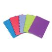 ATOMA - Cahier de notes - par disque - A4 - 72 feuilles / 144 pages - papier blanc - petits carreaux - couverture transparente turquoise - polypropylène (PP)
