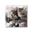 Legami Photo Collection - Calendrier 2024 - 18 x 18 cm - chatons
