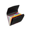 3135259996679-Viquel Rainbow Class - Trieur 8 positions - smart case-P_400000720_1-2