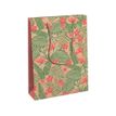 5033601543619-Clairefontaine Kraft - Sac cadeau - 21,5 cm x 10,2 cm x 25,3 cm - tropical-P_400002820_1-0