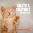 9782755683301-Calendrier mural Chats et chatons 2021-P_400004134_1-0