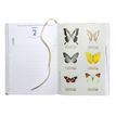 3660942072090-Agenda Curiosités - 1 jour par page - 12 x 17 cm - disponible dans différentes couleurs -P_400005842_9-2