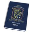 3661507515502-Agenda Harry Potter - 1 jour par page - 12 x 17 cm - 2 décors au choix : Poudlard ou Gryf-P_400005951_2-1