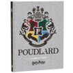 3661507516509-Cahier de texte Harry Potter - 15 x 21 cm - 2 décors au choix : Poudlard ou Gryffondor - -P_400005952_2-1