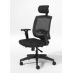 3760388580255-Fauteuil de bureau MALICE avec têtière - accoudoirs réglables - noir--1