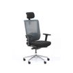 3701338801068-Fauteuil de bureau ergonomique SYNEC - accoudoirs réglables - appuie-tête réglable - no-P_400007268_2-1