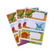 8410782184393-Apli Dinosaures - 9 Étiquettes scolaires - 36 x 81 mm-P_400008558_5-2