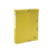 3130630591900-Exacompta Forever Young - Boîte de classement - dos 40 mm - pour 350 feuilles - disponibl-P_400008570_2-1