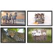 3135251382876-Viquel - Sous-main Animaux - 59,8 x 36,5 cm - disponible dans différents modèles-P_400008663_1-0