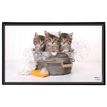 3135251382876-Viquel - Sous-main Animaux - 59,8 x 36,5 cm - disponible dans différents modèles-P_400008663_2-1