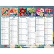 3660942074568-Calendrier Sophie Adde - 6 mois par face - 21 x 29 cm - Exacompta--1