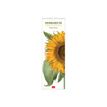 8054320562559-Legami Herbarium - Calendrier illustré mensuel - 16 x 49 cm-P_400009314_1-0