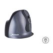 8719274674474-Bakker Elkhuizen Evoluent D - souris ergonomique sans fil pour droitier - grande taille-P_400009843_26-12