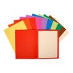 3288581601015-Exacompta Flash - 5 Paquets de 100 Chemises - 220 gr - couleurs assorties-P_400010842_2-1