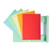 3130635449008-Exacompta Forever - 100 Chemises imprimées format folio - 280 gr - couleurs assorties-P_400010976_2-1