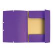 3130632554088-Exacompta - 25 Chemises à 3 rabats imprimées - A4 - violet-P_400011056_2-1