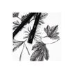 3296280044705-Uni PIN - 8 Feutres techniques - pointe fine - noir-P_400011644_9-8